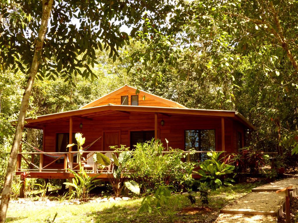 Vanilla Hills Resort San Ignacio Chambre photo