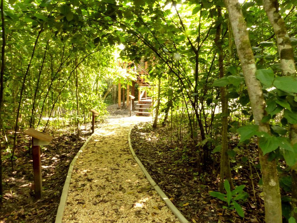 Vanilla Hills Resort San Ignacio Chambre photo