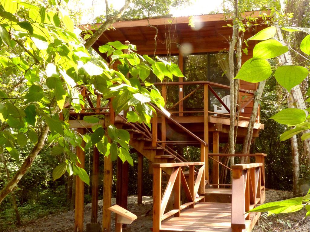 Vanilla Hills Resort San Ignacio Chambre photo