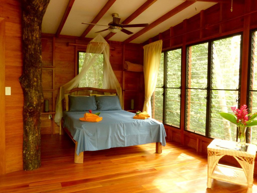 Vanilla Hills Resort San Ignacio Chambre photo