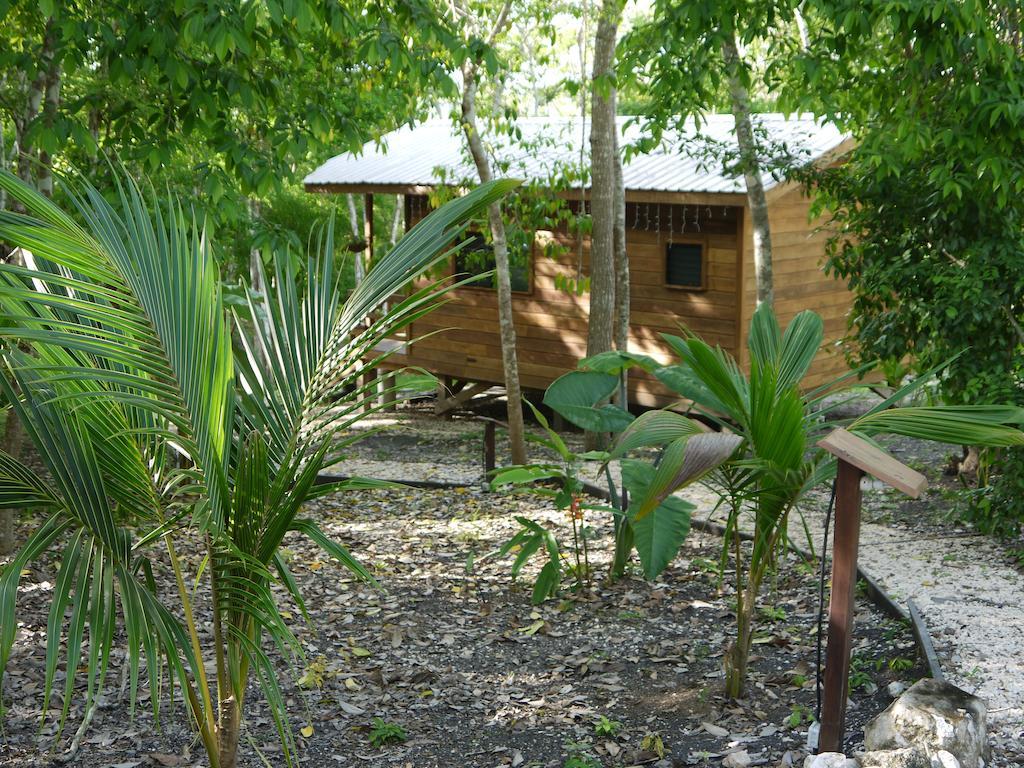 Vanilla Hills Resort San Ignacio Extérieur photo